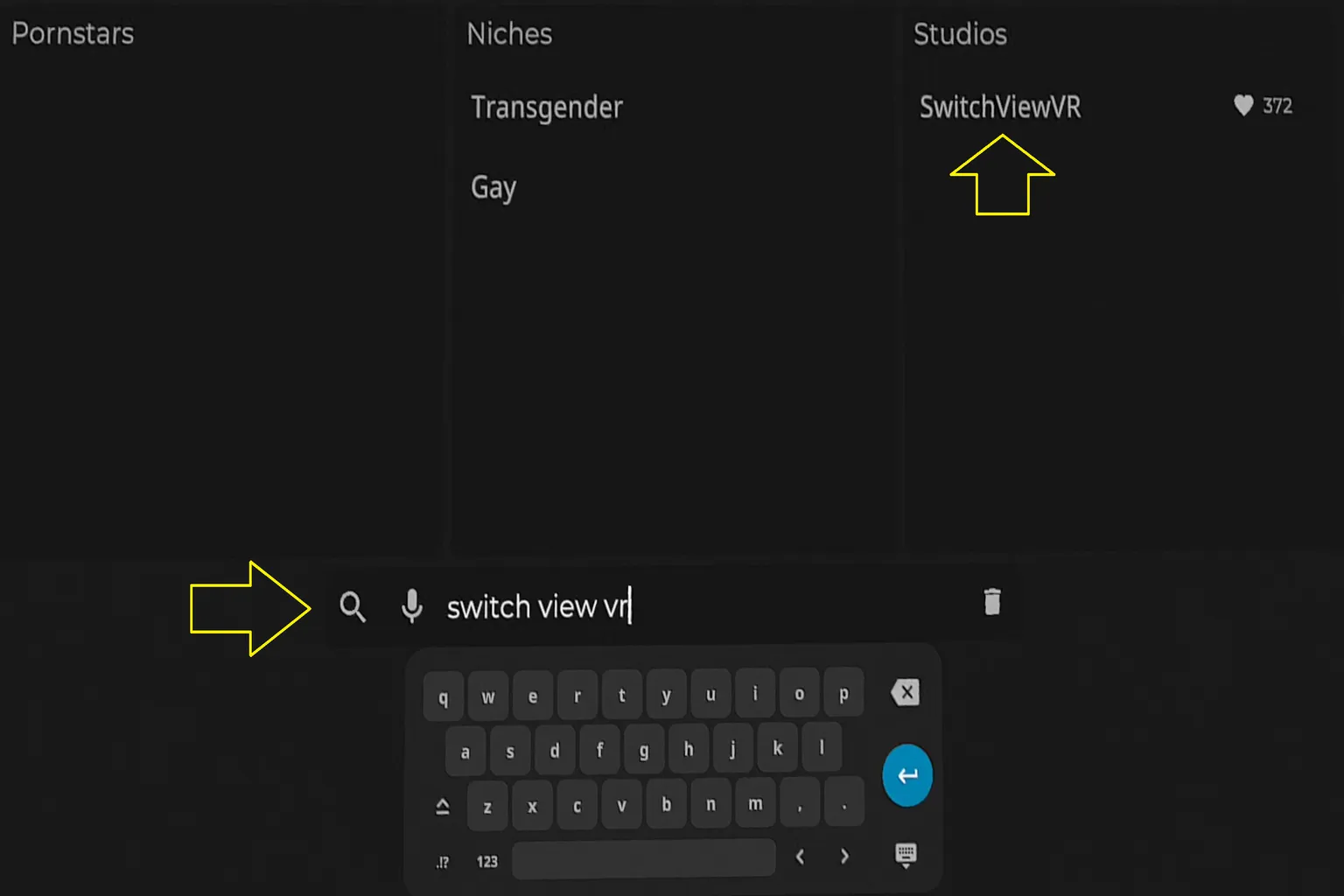 Eine SLR-Textsuche-Demo, bei der der Creator-Name „SwitchviewVR“ eingegeben wird. Bildschirmtastatur und Suchbutton sind sichtbar und zeigen, wie man nach einem Studio-Namen sucht.